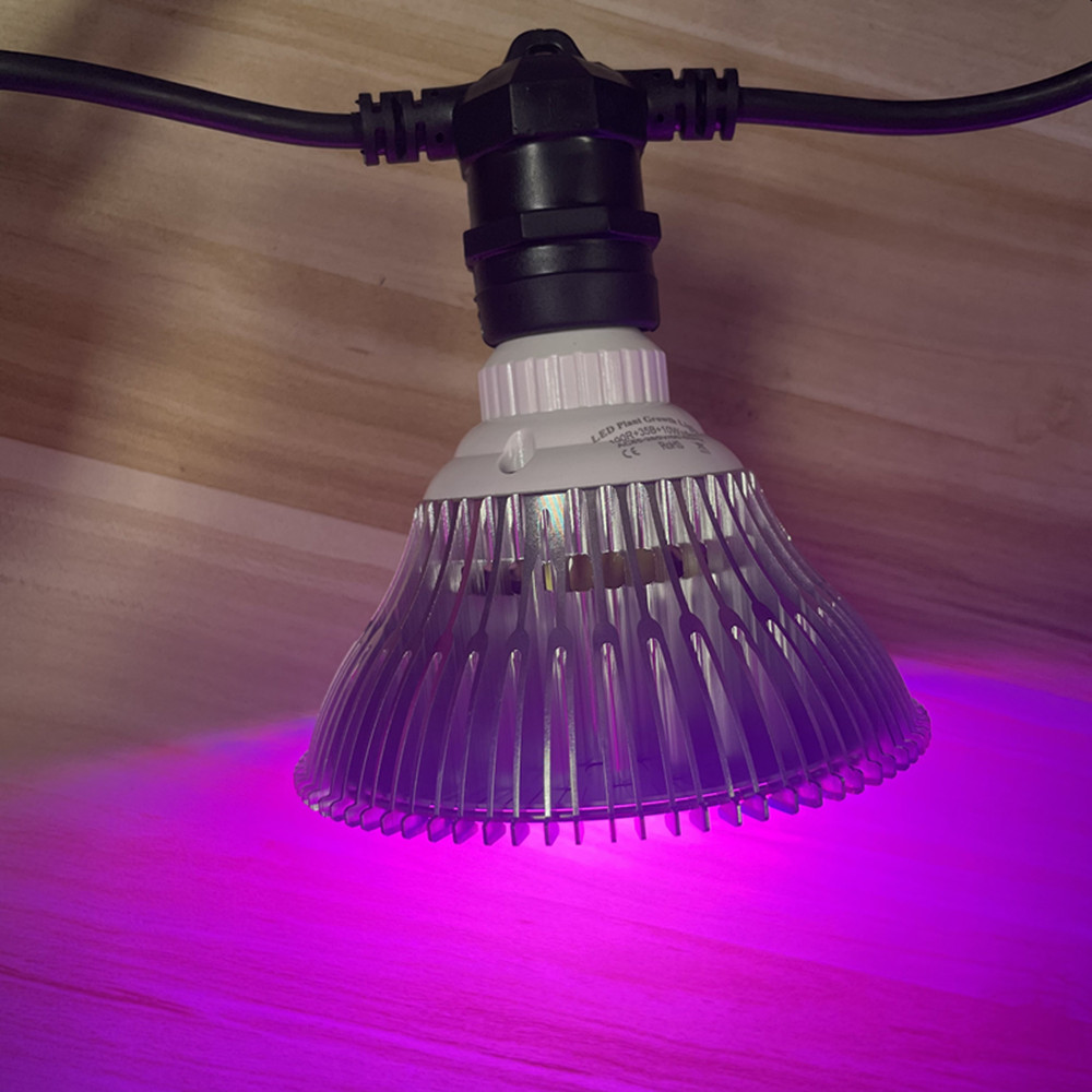 10M 케이블 LED 스트링 조명, 상업용 등급 방수, - Outdoor Lighting Extension Cord 리뷰 및 가격